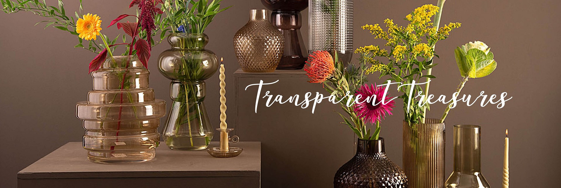 Transparent Treasures.jpg